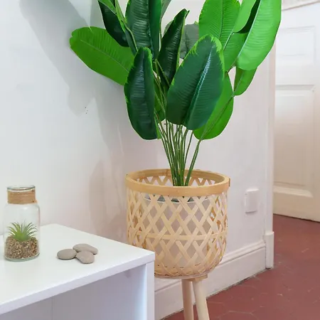 Le Cocon - Hypercentre Antibes, Netflix, Clim דירה אנטיב